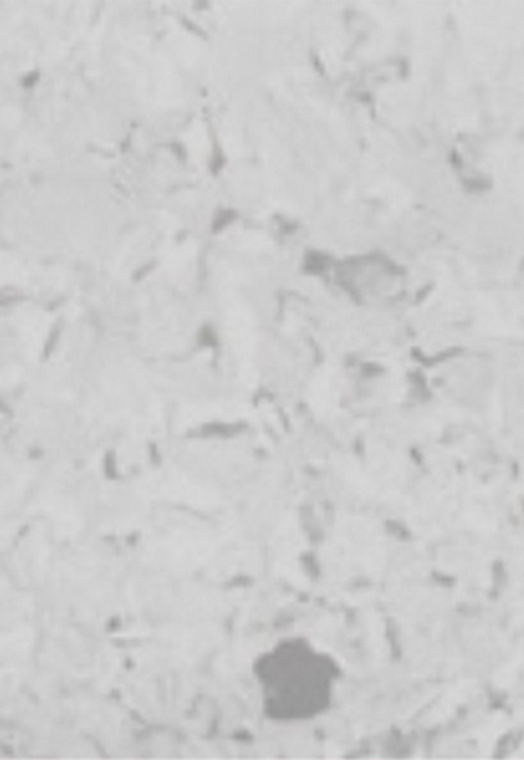 Color: Light Warm Grey